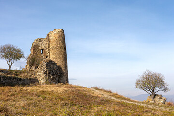 Ancient Ruined Tower in a Serene Rural Landscape