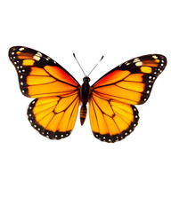 Fototapeta premium Close up, butterfly transparent image. Ai generated