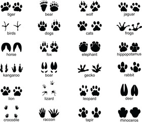 Set of  traces of wild animals, illustration of black silhouettes		