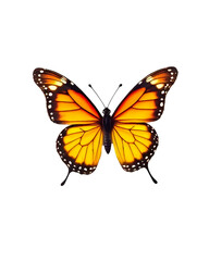 Fototapeta premium Close up, butterfly transparent image. Ai generated