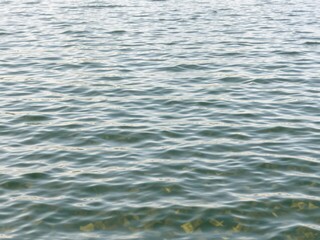 Obraz premium Image of water surface with gentle ripples, creating a calming and natural texture, serene, aquatic