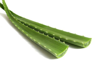Aloe leaves lie on a white isolated background.	