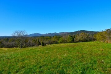 Green meadow with forest covered hills behind at Kras plateau in Primorska, Slovenia