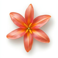 Stunning Photorealistic Flower Arrangement with Soft Pink Petals on a Clean White Background