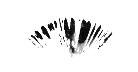A grunge brush template. A brush, fan, eyelashes, stroke. Illustration, watercolor, isolated, white, background, abstraction, black, white, shape.