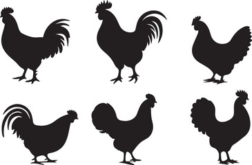 set of chicken silhouette design vector art illustration.