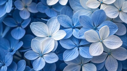 Close-Up of Delicate Blue Flower Petals, Nature, Floral , flower, macro, petals, blue