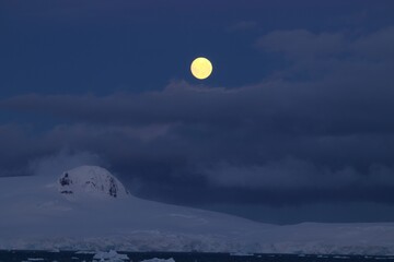 A remote, untouched corner of Antarctica, where the land is a canvas of snow and ice. The stillness of the icy landscape is broken only by the occasional silhouette of a distant iceberg. © Vishal