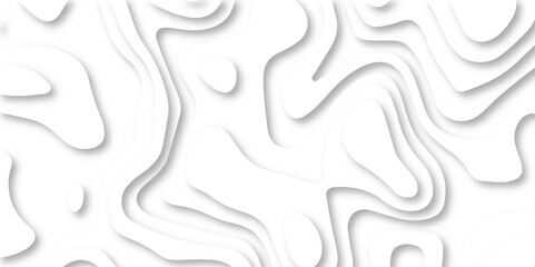 Abstract 3d wavy line paper cut white background. Topographic canyon geometric map relief texture with curved layers and shadow.