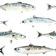 Mackerel Fish. Seamless pattern. Illustration hand drawn in watercolor in pastel colors, for marine and seaside designs, textiles, packaging and canned fish.