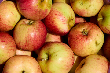 A colorful pile of fresh red and green apples, showcasing their appetizing appeal