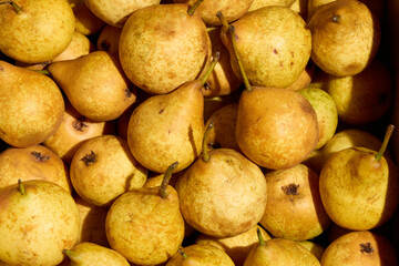 Enjoy an Abundant Supply of Fresh Yellow Pears, Perfect for Satisfying Healthy Snacking