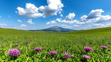Obraz premium a field of lush green grass with purple flowers in the foreground and a majestic mountain in the background, framed by a bright blue sky with white fluffy clouds