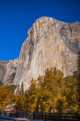 Misty mornings and snow-covered peaks in Yosemite's wild.