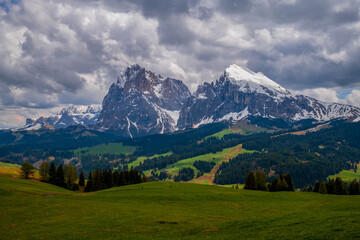 Obraz premium Panoramic view of the Langkofel Group from Seiser Alm in the Dolomites in South Tyrol, Italy.