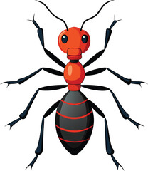 ant vector