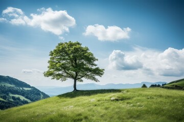 Fototapeta premium Charming Green Summer Scene of Tree in Lively Nature