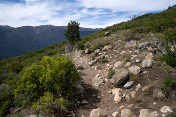 View of the hiking path along the forest and mountains.