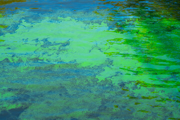 Algae blooms in lakes and rivers symbolize worldwide challenges of water pollution.