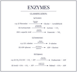 Enzymes and its classification