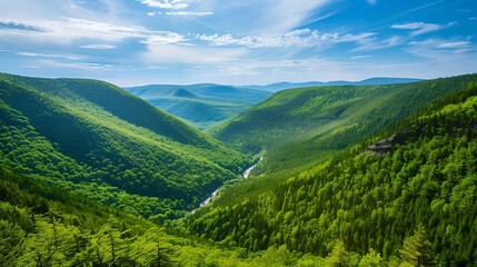Fototapeta premium landscape with blue river flowing through mountains covered in green forest