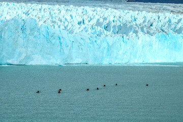 The Perito Moreno Glacier, an Ice Giant at the End of the World, is located in the southern sector of Los Glaciares National Park, Province of Santa Cruz, Argentina.