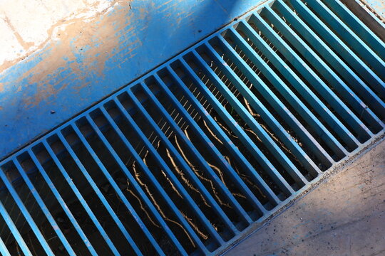 rain drain