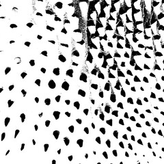 Abstract grunge texture. Black and white backdrop and wallpaper. Textured surface.
