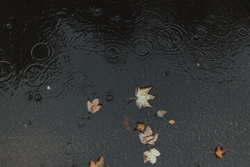 Rain