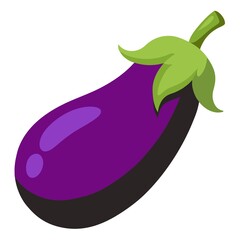 Purple Eggplant Illustration - Fresh Vegetable Vector Art