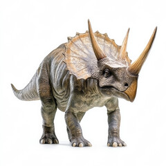 Fototapeta premium Triceratops on white background