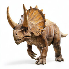 Fototapeta premium Triceratops on white background