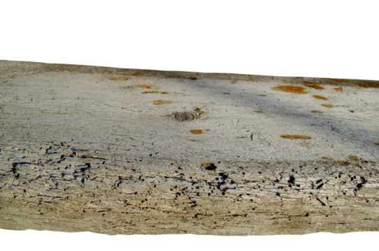 Texture of dark old wooden fence Place for text Wood surface texture Flat lay Brown wood Copy space Vintage grunde background Old tree eaten by bark beetle isolated on white Side view