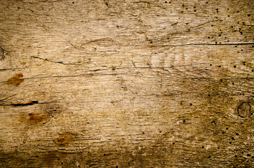 Texture of dark old wooden fence Place for text Wood surface texture Flat lay Brown wood Copy space Vintage grunde background Old tree eaten by bark beetle