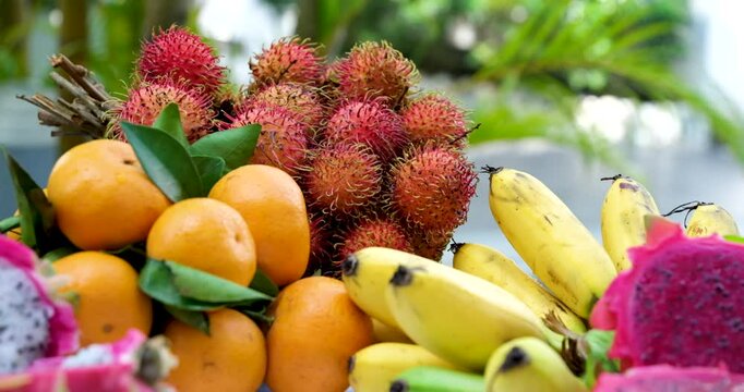 Exotic tropical fruits on the market. Edible bright fruity summer background. Fruit growing, gardening and agriculture. Panoramic movement. tropical fruits