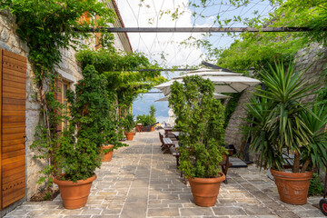 Observation deck in citadel of Budva, Montenegro. Recreation area and outdoor plants in flower pots next to fortress wall