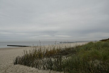 Serene beach view with golden sand and calm waves