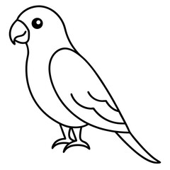 Fototapeta premium Parakeet vactor icon on a white backgrount.