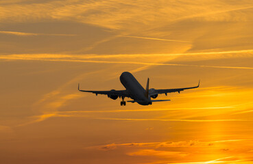 Fly away