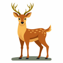 deer illustration