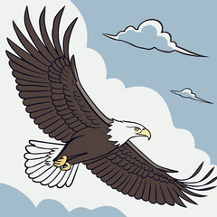 american bald eagle