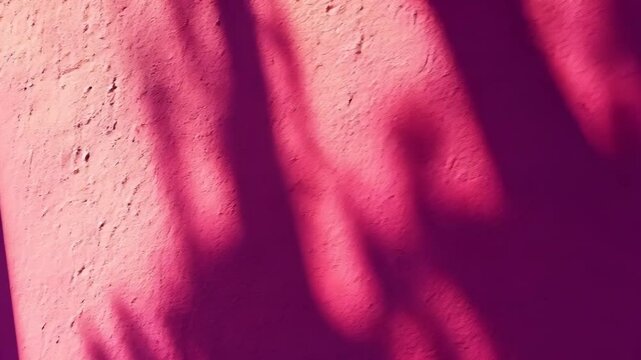 Shadows casting unique patterns on a vibrant pink wall in a sunlit courtyard during midday