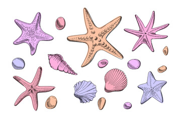 Set with seashells, starfish and pebbles. Sketch style. Set of sea objects. Hand drawn illustrations. Vector isolated on white background.