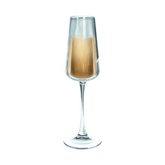 Champagne in a glass. Isolated watercolor illustration of white wine. Festive alcoholic drink with bubbles for New Year and Christmas. Glamorous cocktail for Valentine's Day. Prosecco for wedding