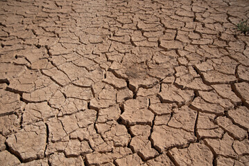 Dried Mud Cracks in Desertification Area on Barren Land during Hot Summer Day in Azraq Jordan