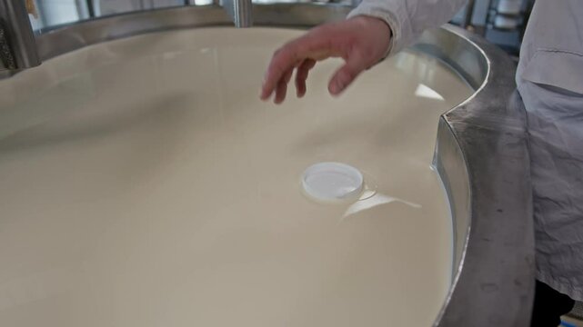 Medium closeup of hand of unrecognizable male cheese factory technician placing plastic press cap onto surface of raw milk fermenting in large heated vat, to test thickness and consistency