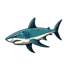 Obraz premium Colored shark. Modern isolated vector illustration