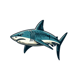 Fototapeta premium Colored shark. Modern isolated vector illustration