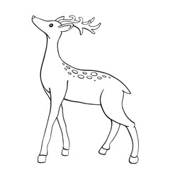Deer. Elegant ink outline animal illustration. Ideal for natural seasonal decor, coloring page, Christmas and New Year cards, books, greeting, print