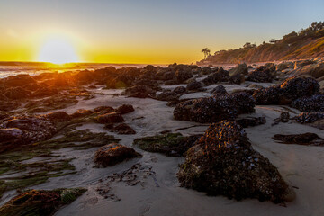 Beautiful sunset over the ocean viewed from  El Pescador State Beach in South California © Faina Gurevich